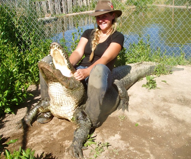 Gator Wrangling Alligator Fishing Rod How To Wrangle An Alligator Travels With The Blonde Coyote Gator Wrangling Alligator Fishing Rod How To Wrangle An Alligator Travels With The Blonde Coyote